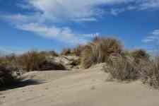 North Myrtle Beach: sea, Sand, dune
