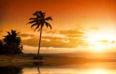 Myrtle Beach: Sunset, orange, palms