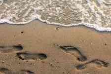 Myrtle Beach: beach, Sand, footprints
