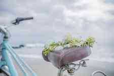 Myrtle Beach: beach, bike, bicycle