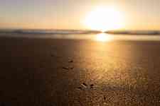 Myrtle Beach: beach, Sand, foot print