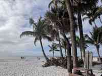 North Myrtle Beach: beach, Florida, naples