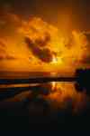 North Myrtle Beach: Sunrise, nature, sky