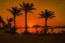 Myrtle Beach: palm trees, africa, egypt