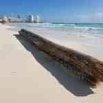 North Myrtle Beach: beach, mexico, Cancun